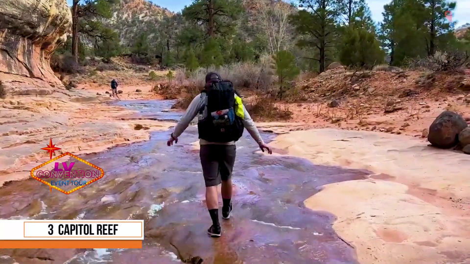 5대 캐년 영상 (1)